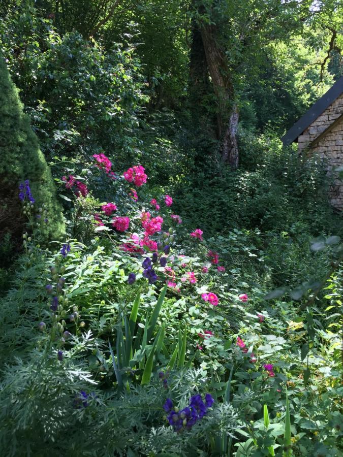 Moulin De La Rouchotte Bed & Breakfast Fretigney-et-Velloreille ภายนอก รูปภาพ