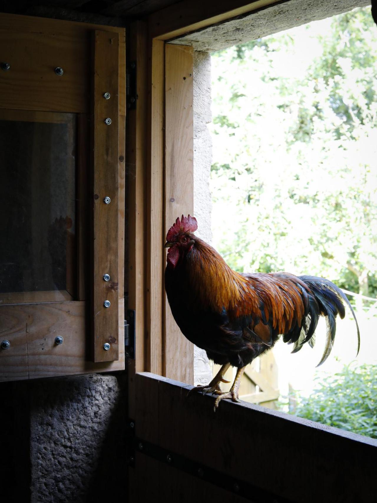 Moulin De La Rouchotte Bed & Breakfast Fretigney-et-Velloreille ภายนอก รูปภาพ